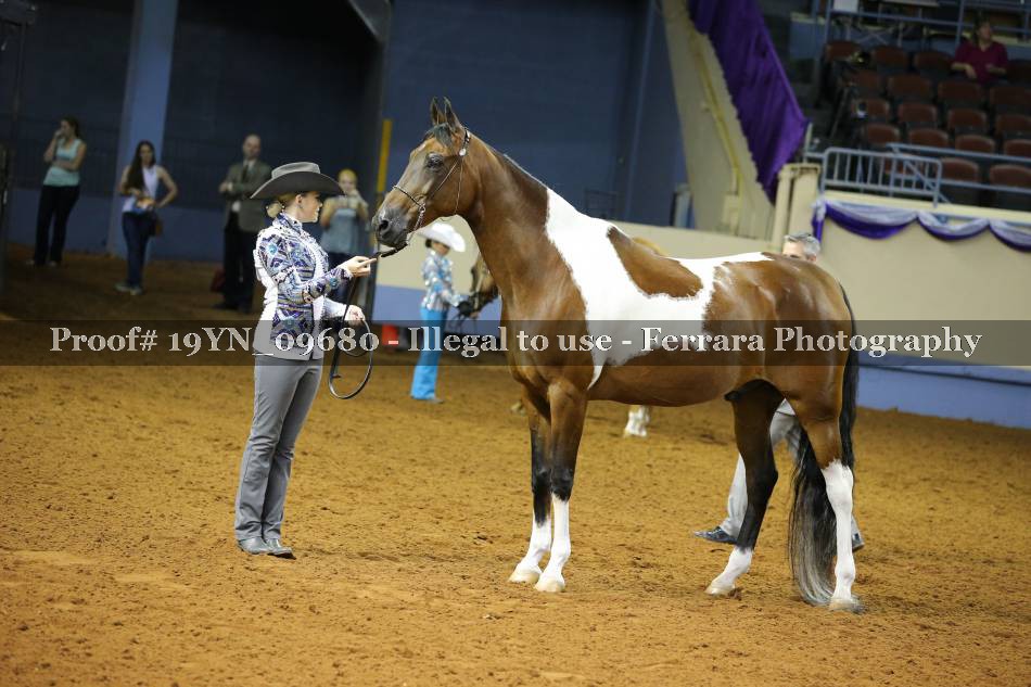 Proof 19YN_09680