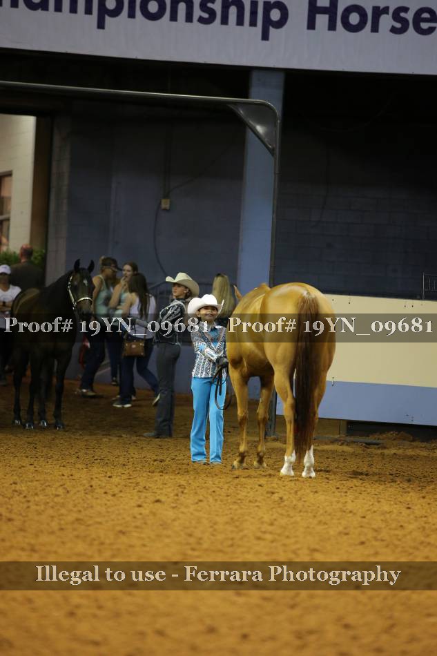 Proof 19YN_09681