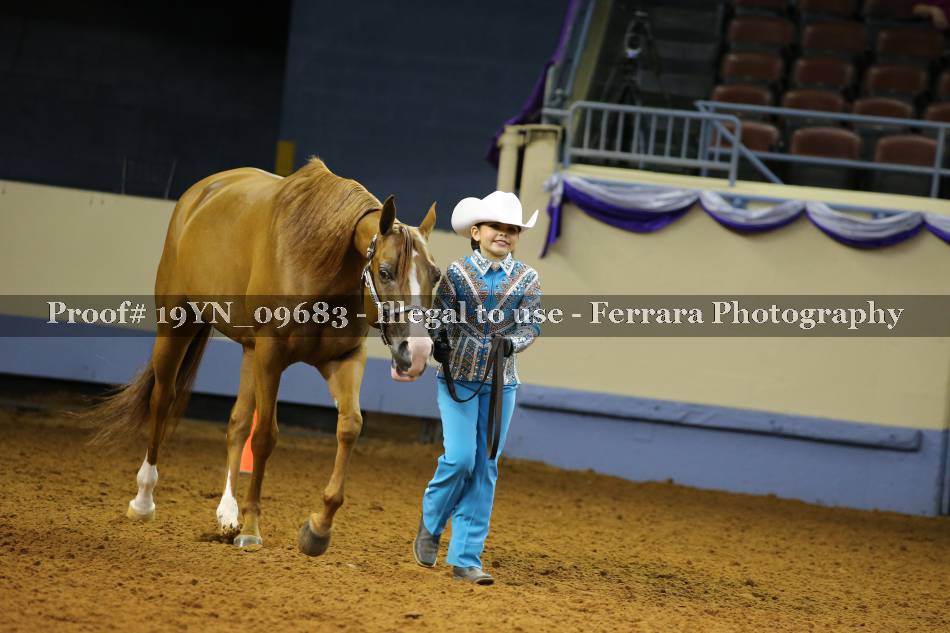 Proof 19YN_09683