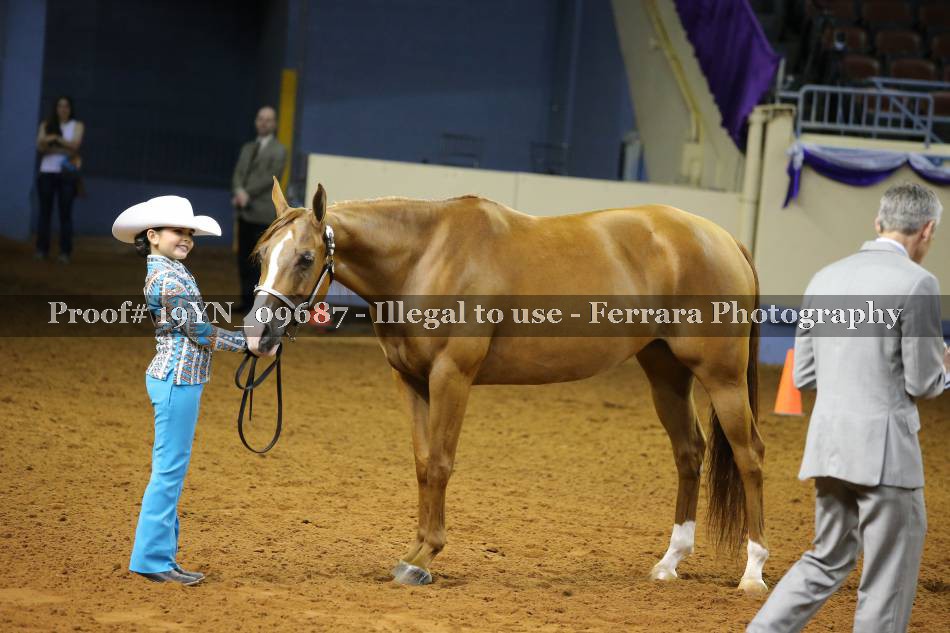 Proof 19YN_09687