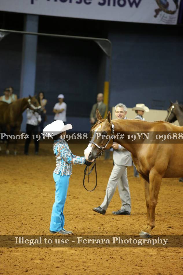 Proof 19YN_09688