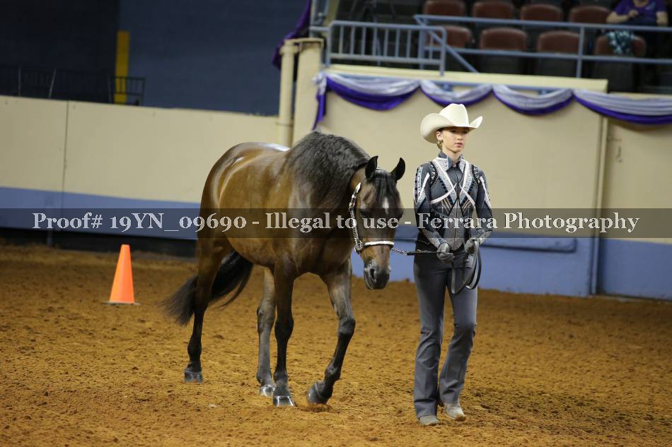 Proof 19YN_09690