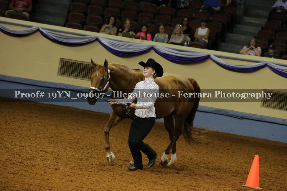 Proof 19YN_09697