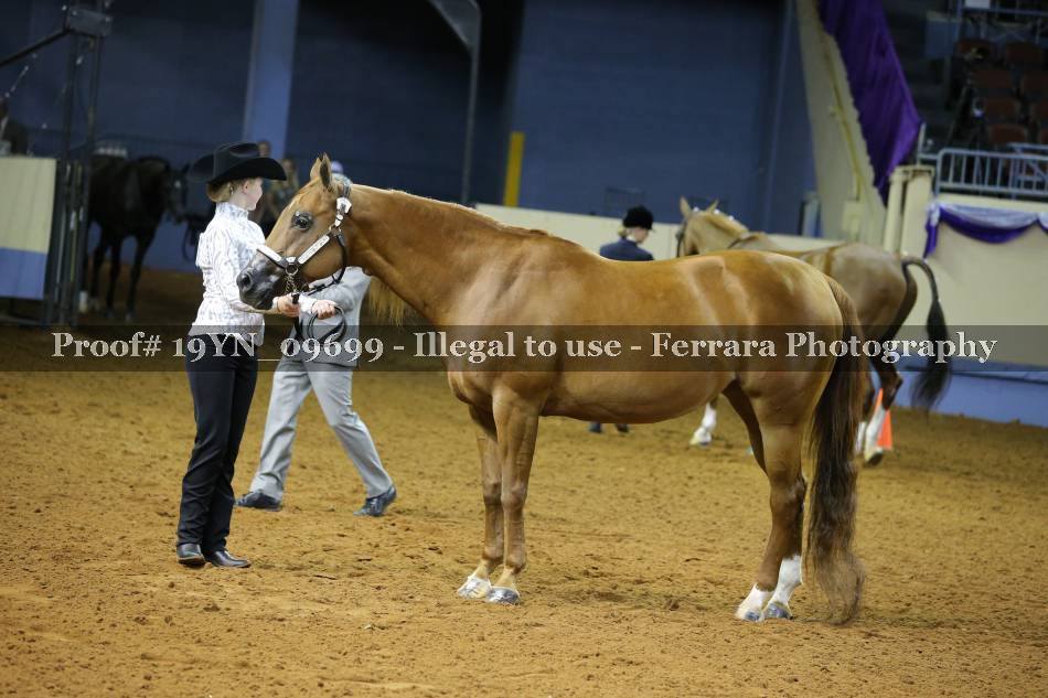 Proof 19YN_09699