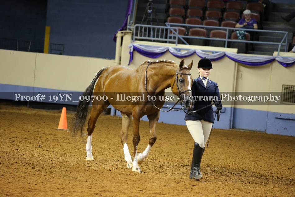 Proof 19YN_09700