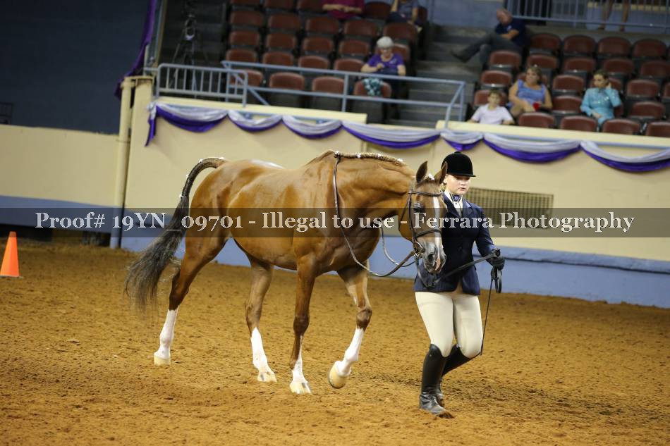 Proof 19YN_09701