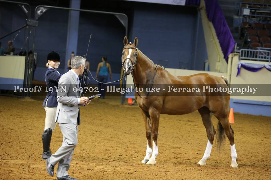 Proof 19YN_09702