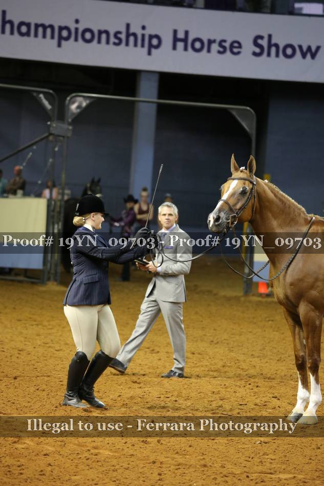 Proof 19YN_09703