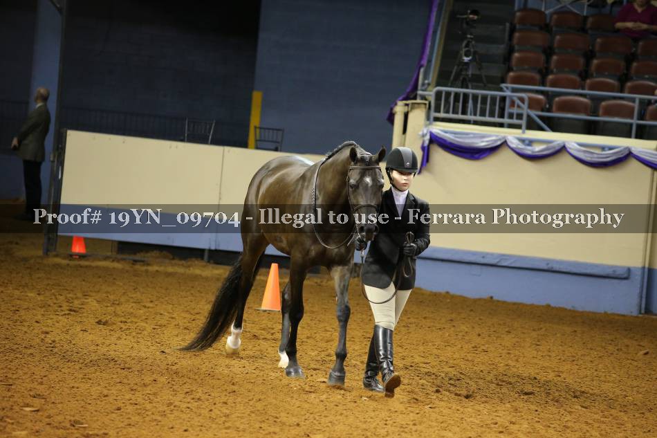Proof 19YN_09704
