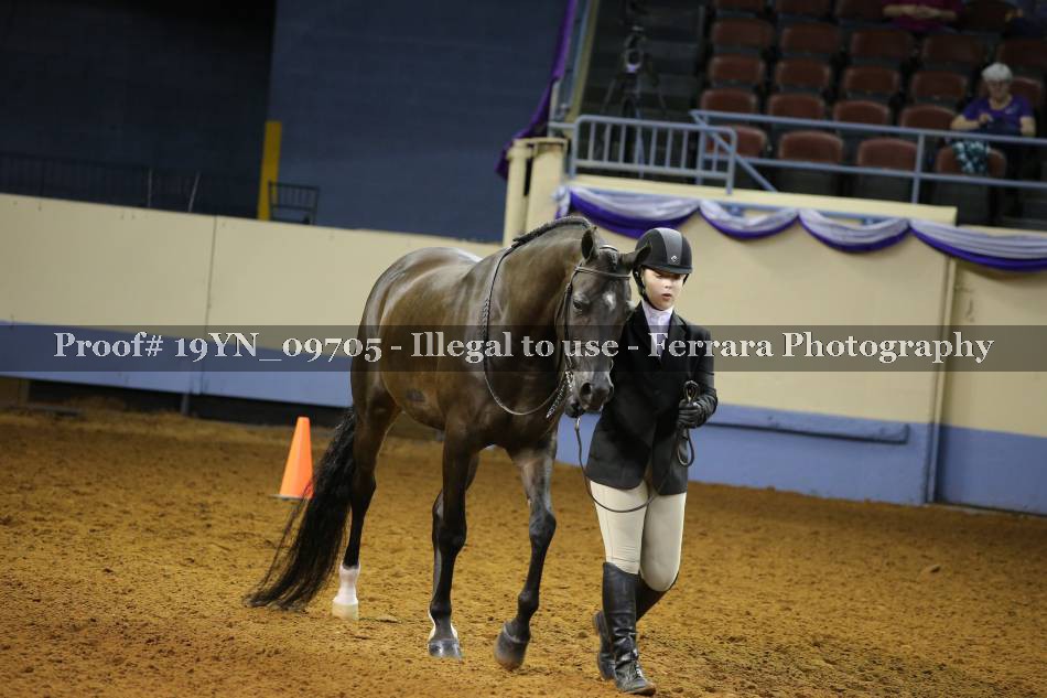 Proof 19YN_09705