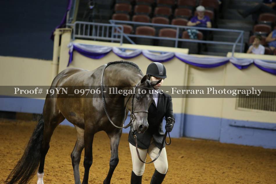 Proof 19YN_09706