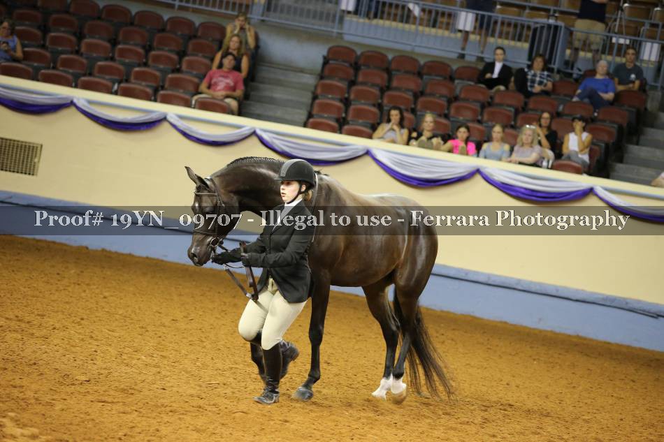 Proof 19YN_09707