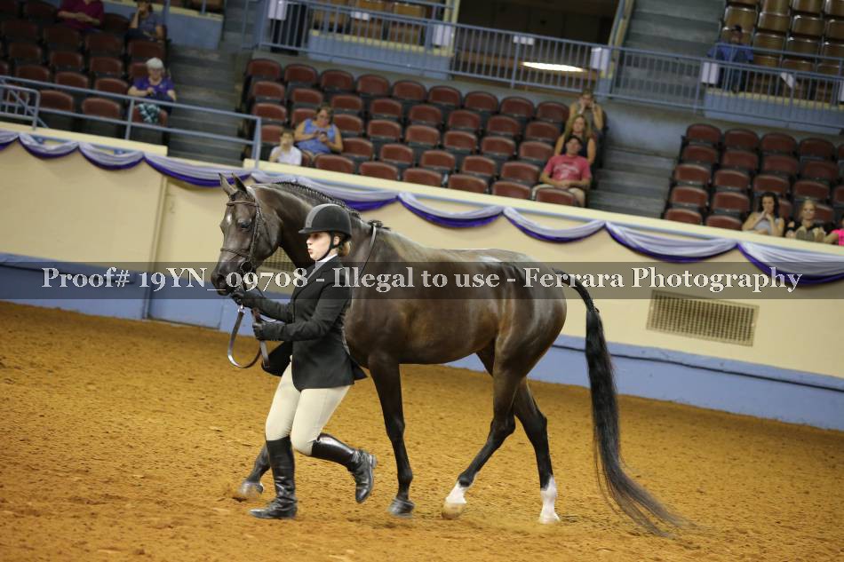 Proof 19YN_09708