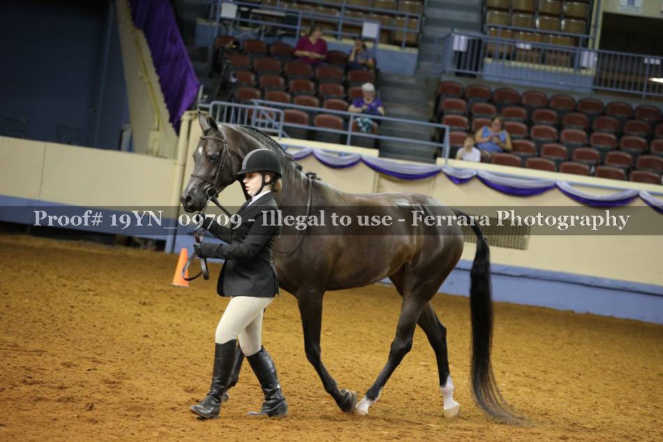 Proof 19YN_09709