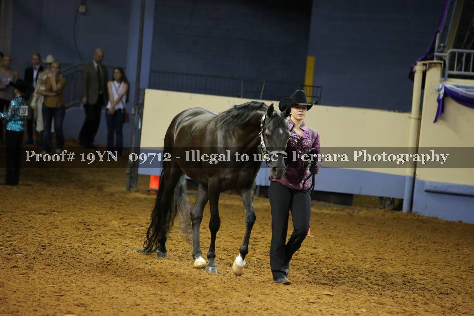 Proof 19YN_09712