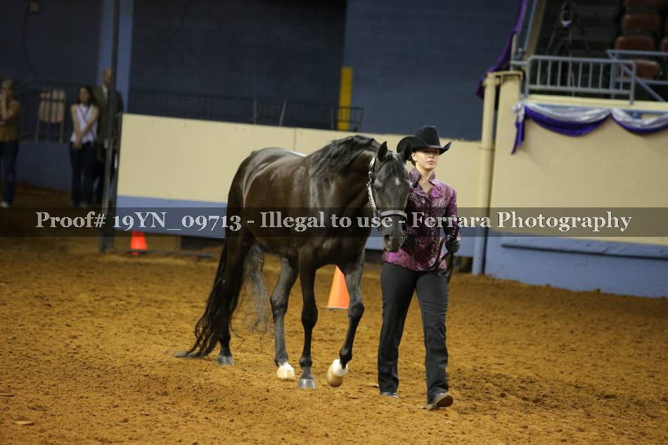 Proof 19YN_09713