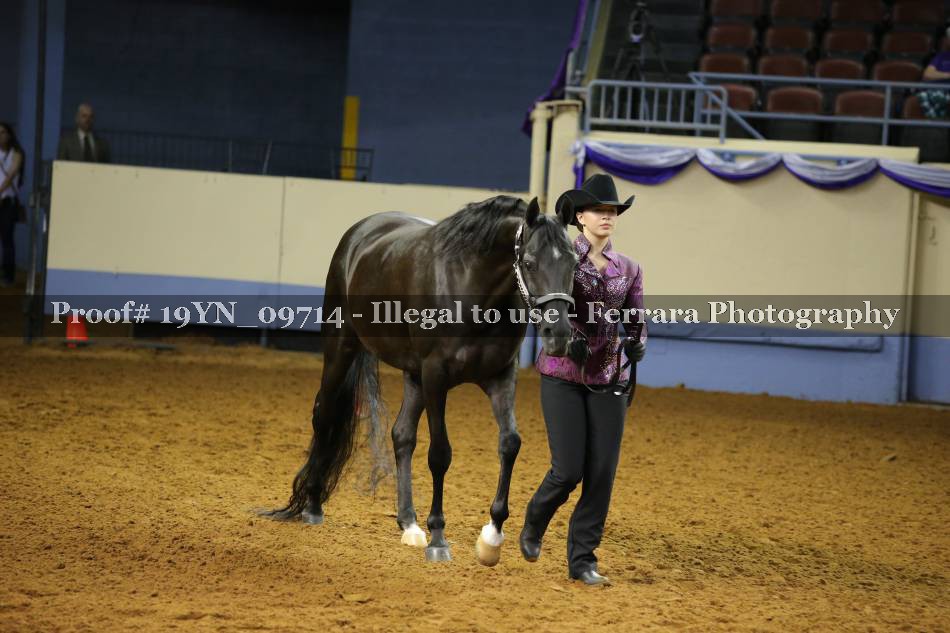 Proof 19YN_09714