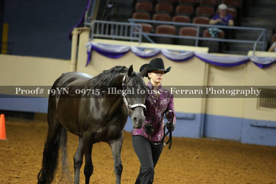 Proof 19YN_09715