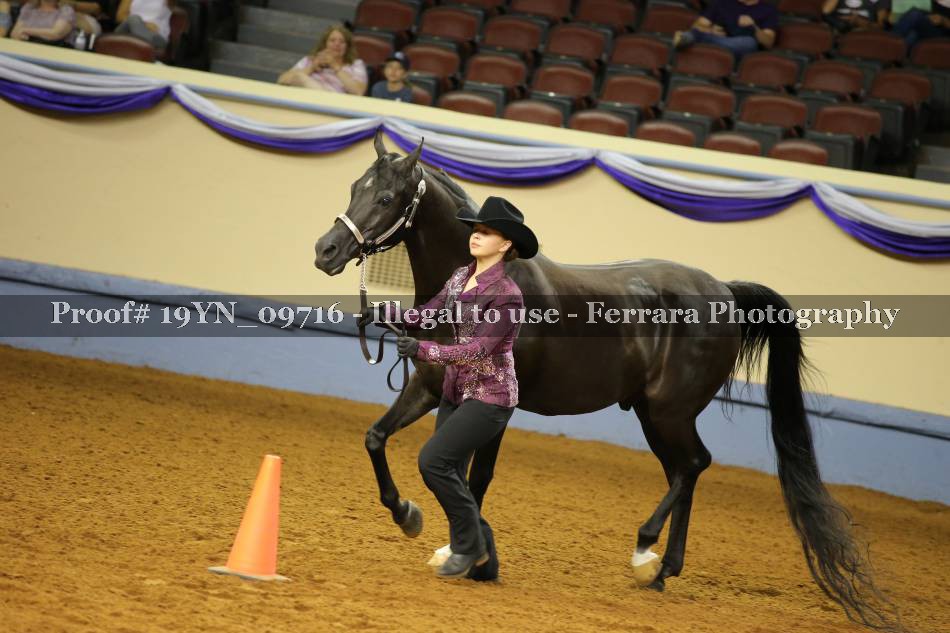 Proof 19YN_09716