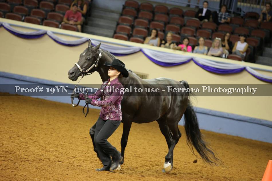Proof 19YN_09717