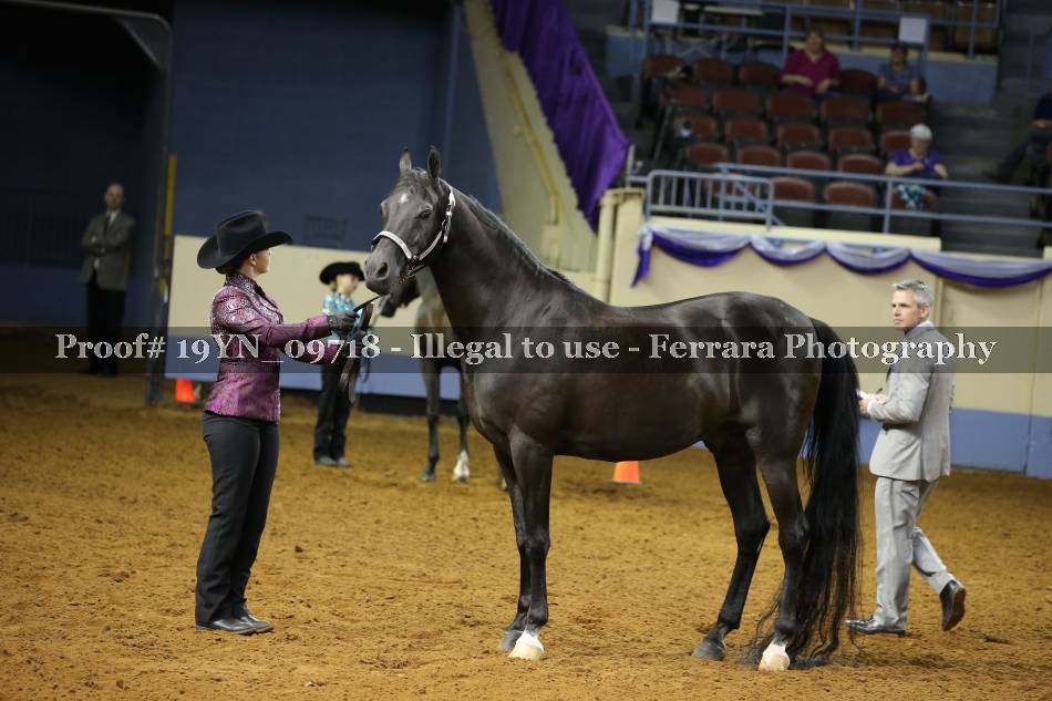 Proof 19YN_09718