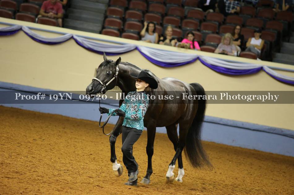 Proof 19YN_09720