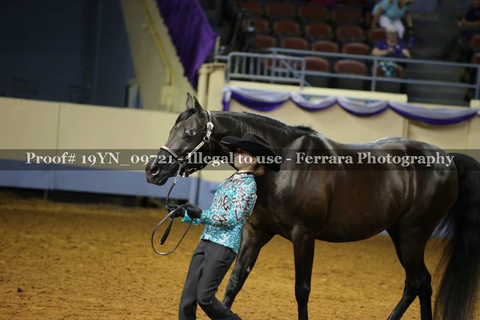 Proof 19YN_09721