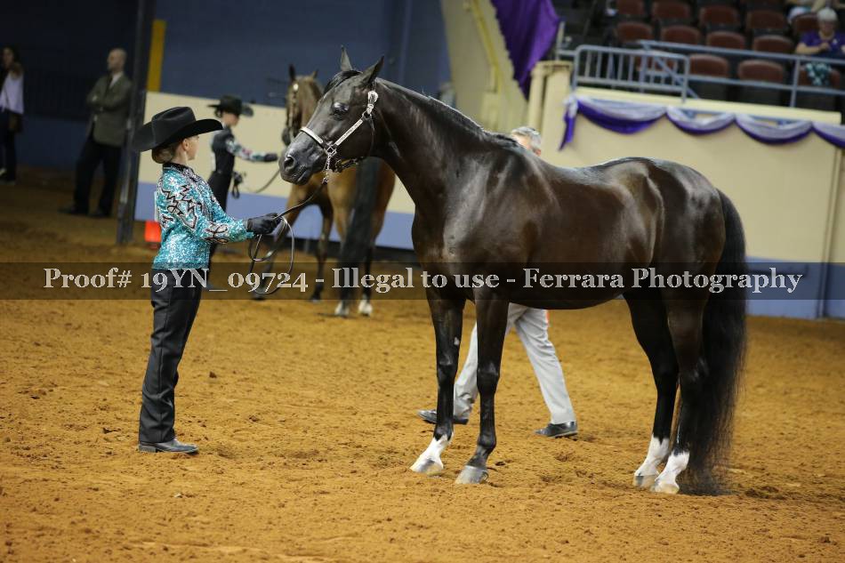 Proof 19YN_09724