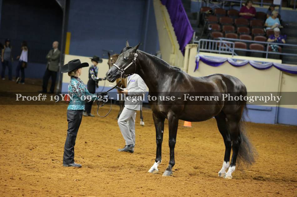 Proof 19YN_09725