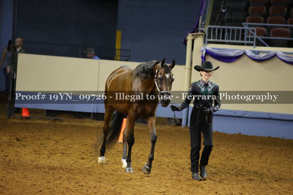 Proof 19YN_09726