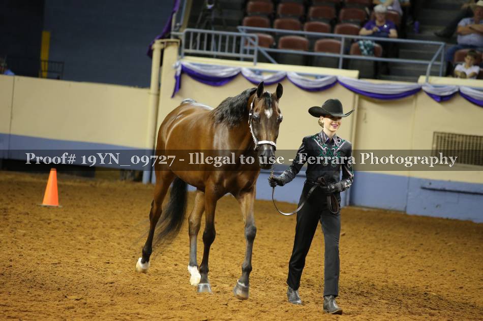 Proof 19YN_09727