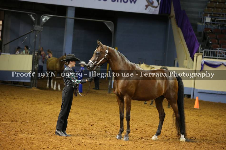 Proof 19YN_09729