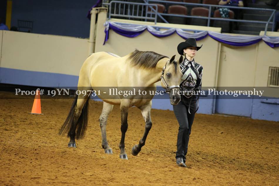 Proof 19YN_09731