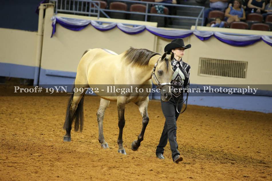 Proof 19YN_09732