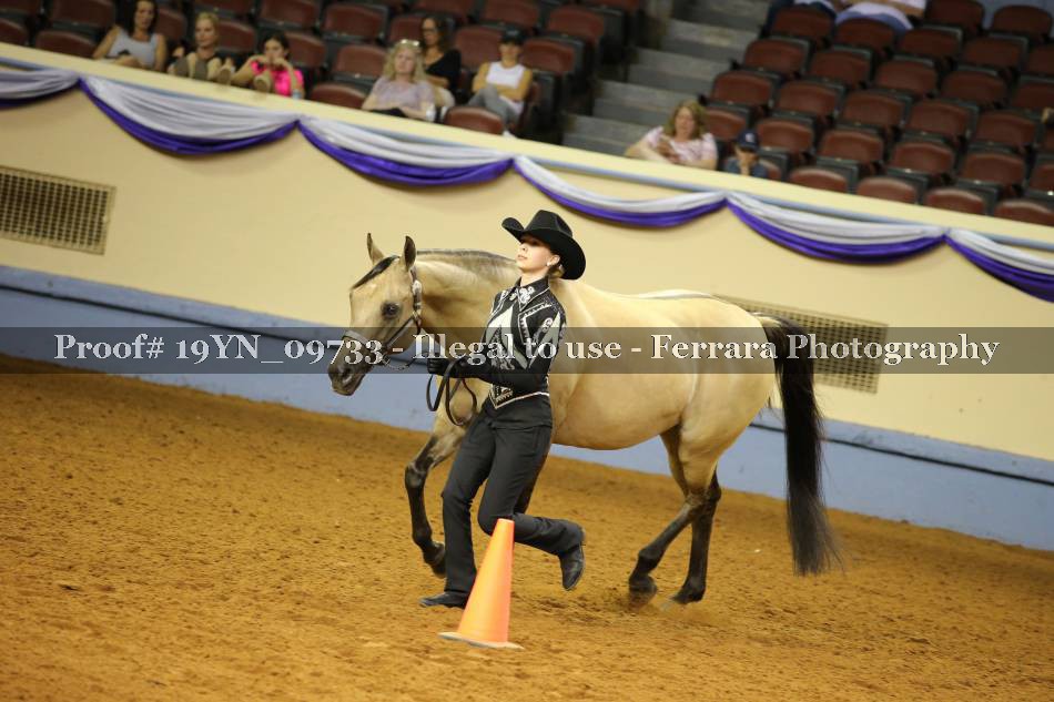Proof 19YN_09733