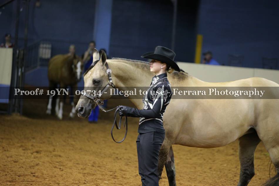 Proof 19YN_09734