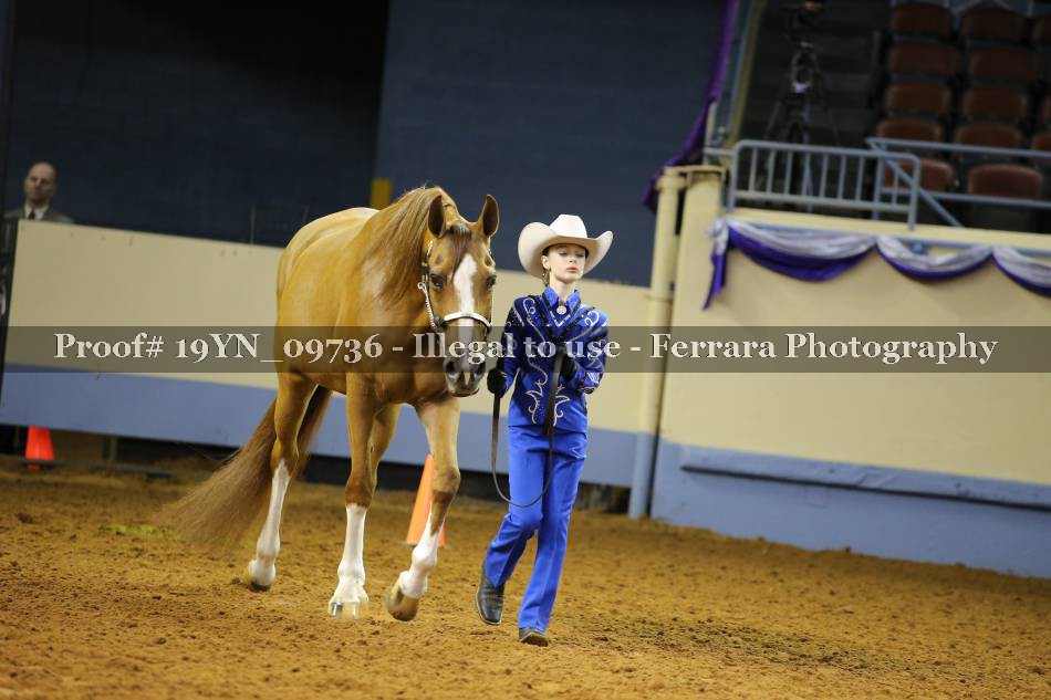 Proof 19YN_09736