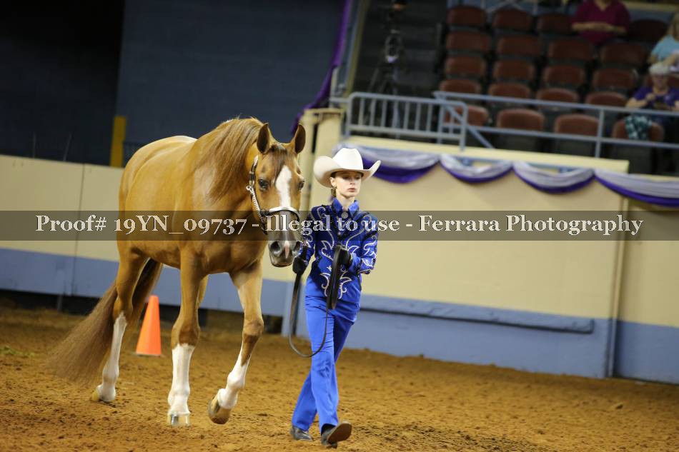 Proof 19YN_09737