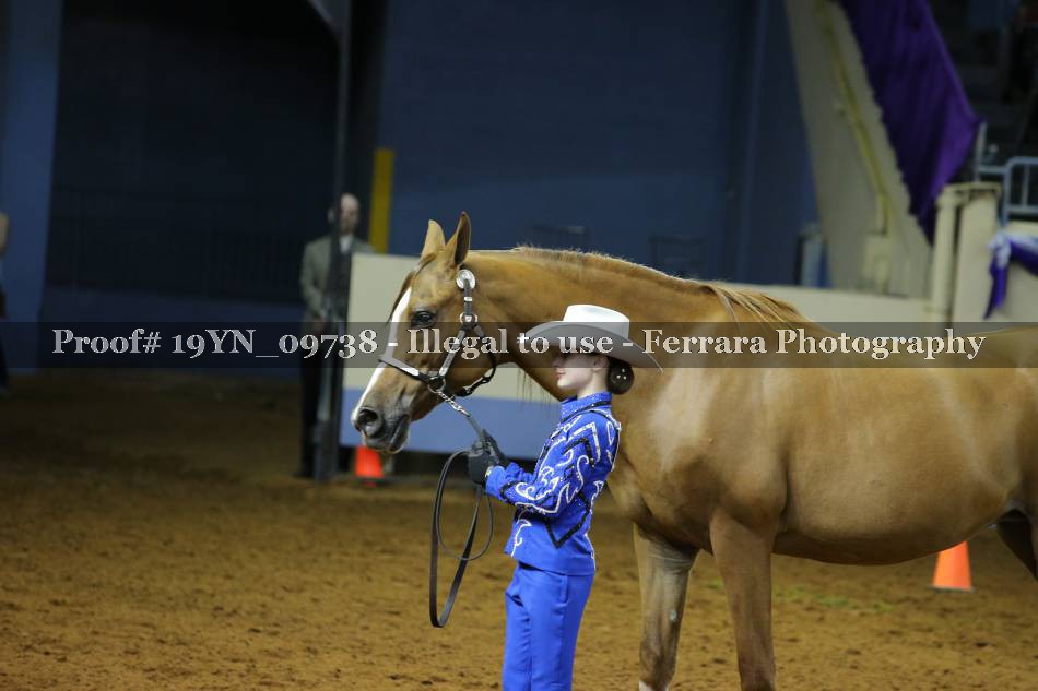 Proof 19YN_09738