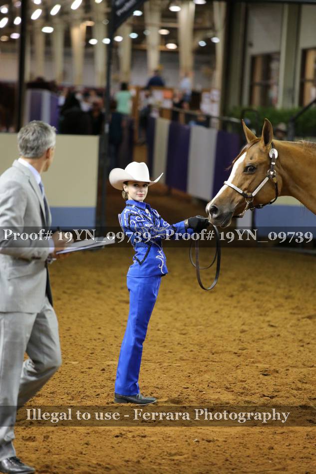 Proof 19YN_09739