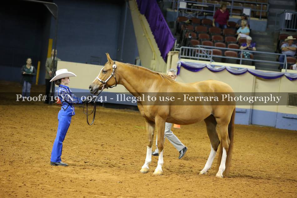 Proof 19YN_09741