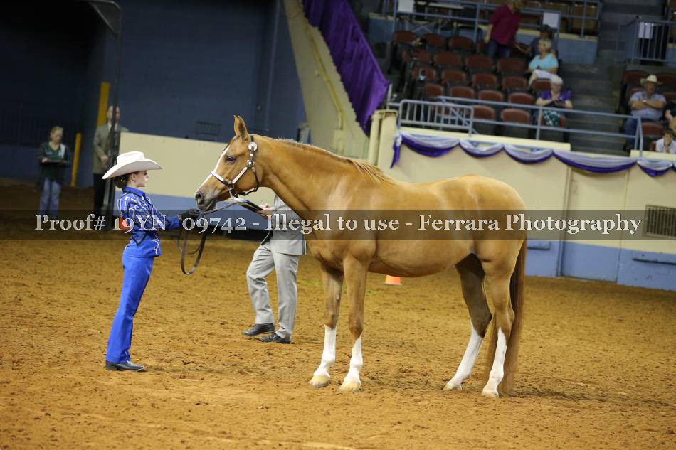 Proof 19YN_09742