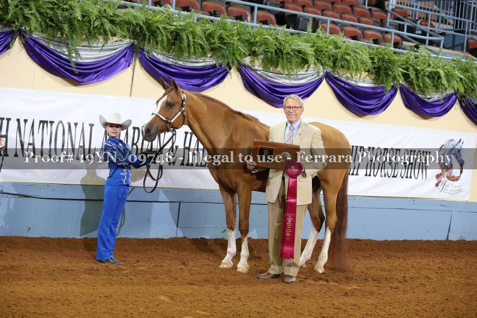 Proof 19YN_09748
