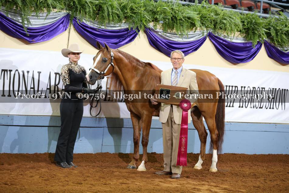 Proof 19YN_09756