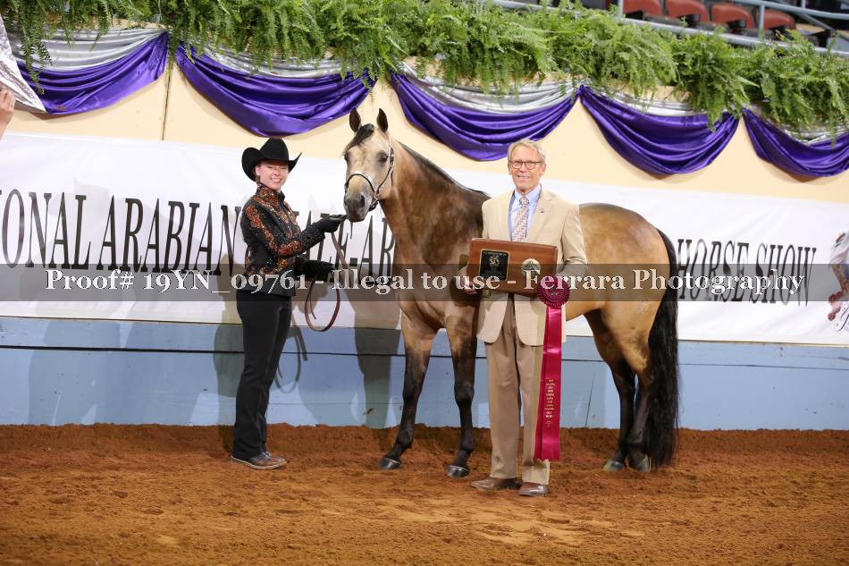 Proof 19YN_09761