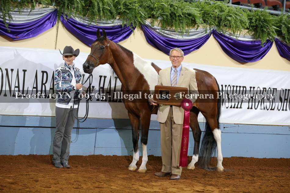 Proof 19YN_09765