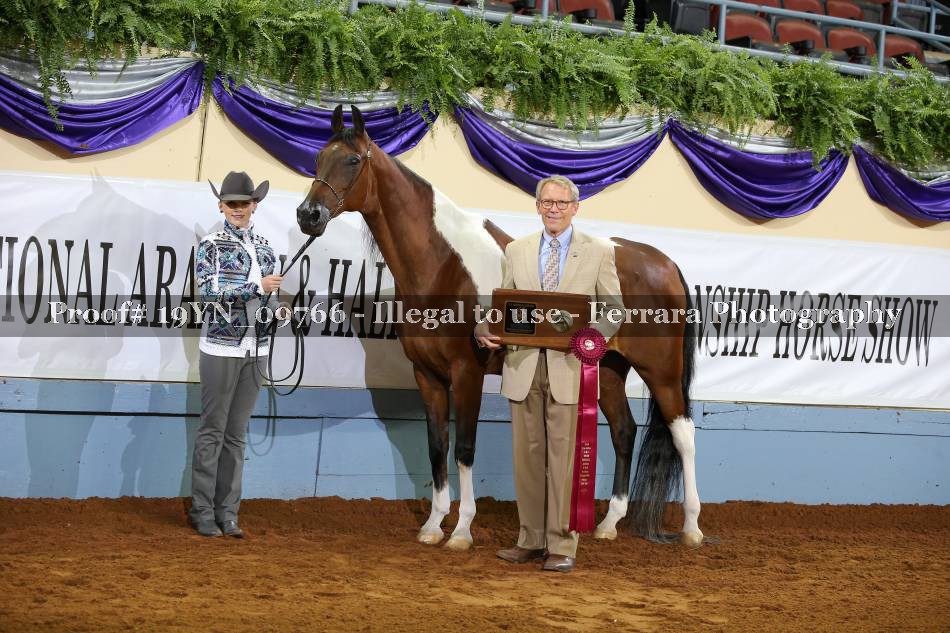 Proof 19YN_09766