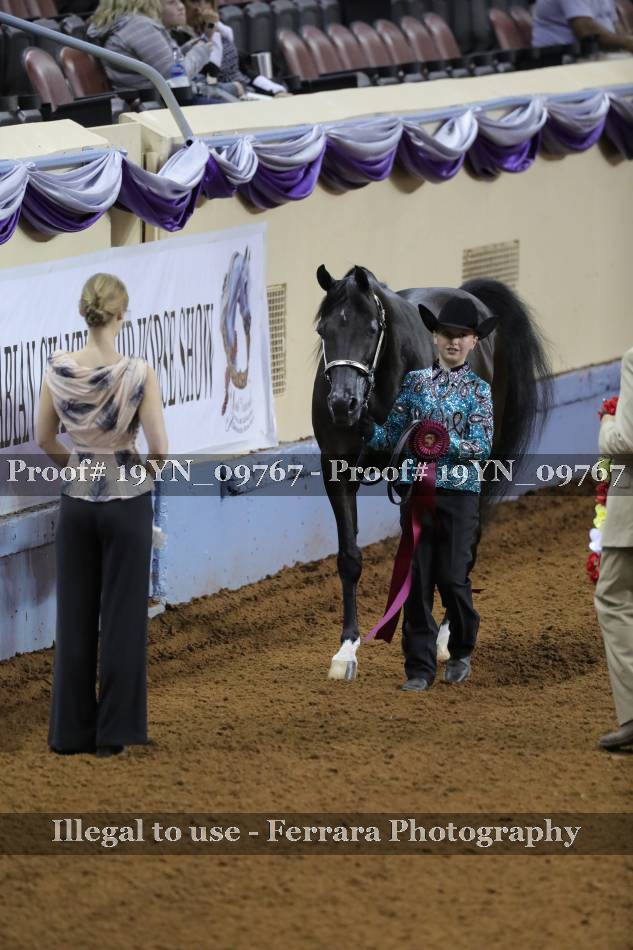 Proof 19YN_09767
