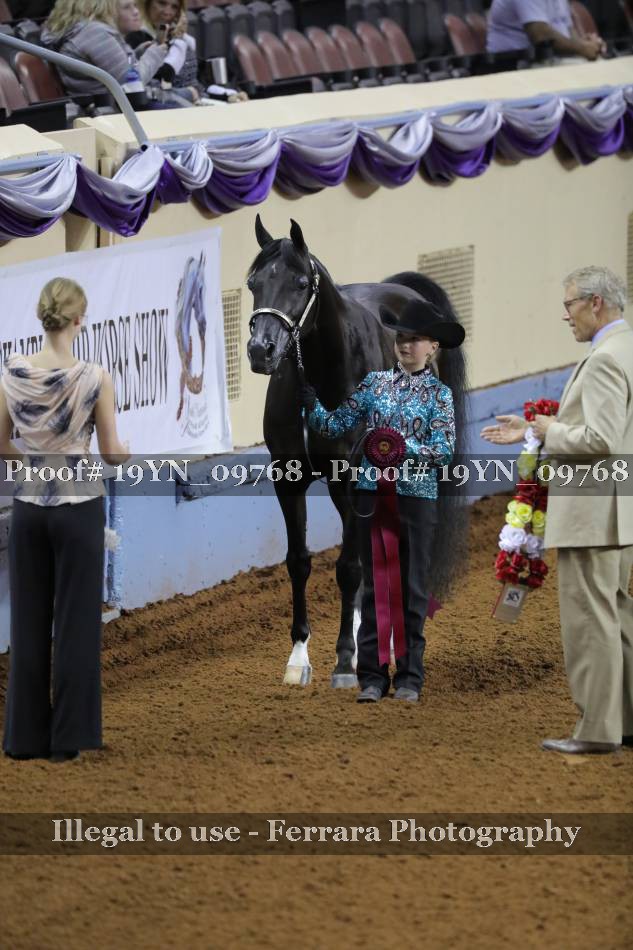 Proof 19YN_09768