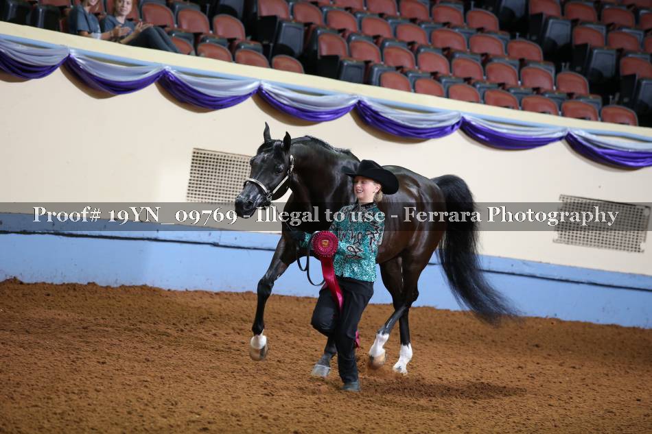 Proof 19YN_09769